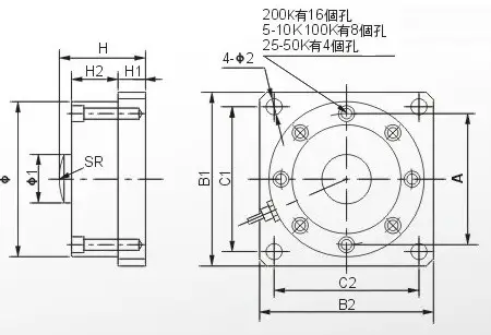 7.webp